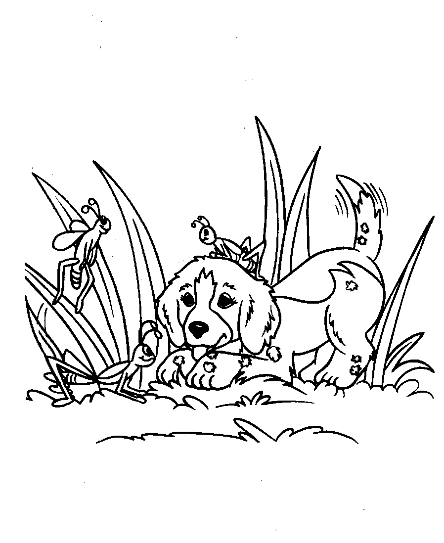 Página para colorir: Filhote de cachorro (animais) #3082 - Páginas para Colorir Imprimíveis Gratuitamente