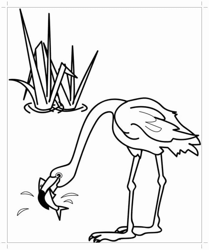 Desenho gratuito Flamingo Rosa #198761 da colecao Animais para imprimir Desenho gratuito Flamingo Rosa #198761 da colecao Animais para imprimir