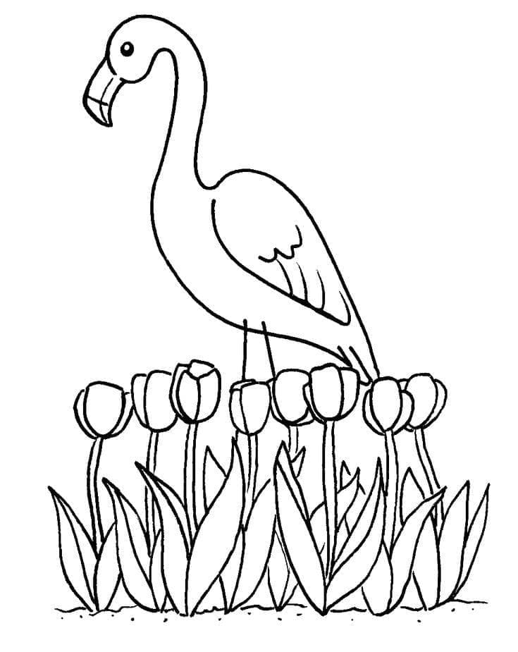 Desenho gratuito Flamingo Rosa #198771 da colecao Animais para imprimir