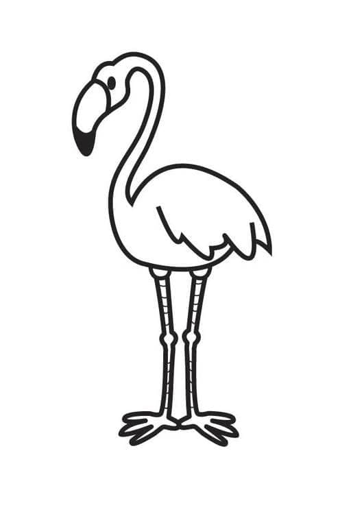 Desenho gratuito Flamingo Rosa #198772 da colecao Animais para imprimir