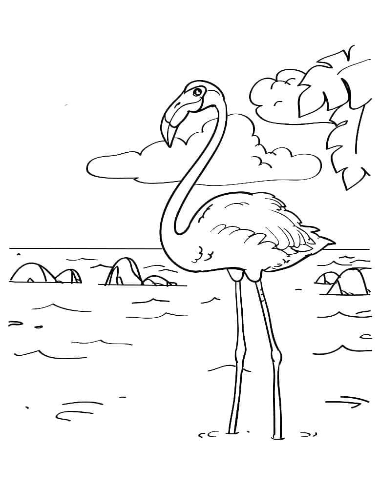 Desenho gratuito Flamingo Rosa #198782 da colecao Animais para imprimir