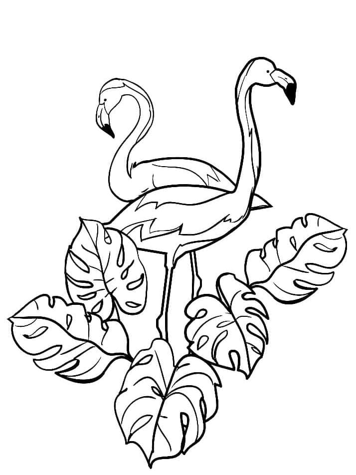 Desenho gratuito Flamingo Rosa #198787 da colecao Animais para imprimir