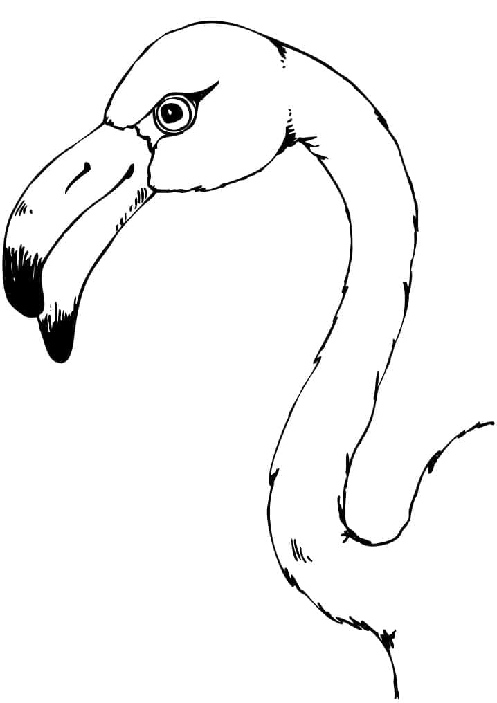 Desenho gratuito Flamingo Rosa #198800 da colecao Animais para imprimir