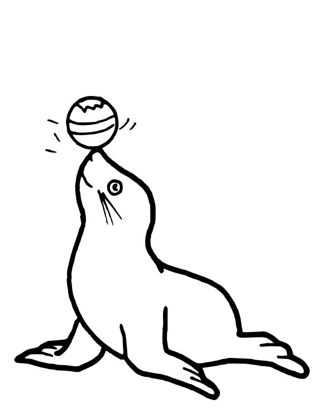 Desenho de Foca #16262 para colorir, da coleção Animais, imprimível grátis