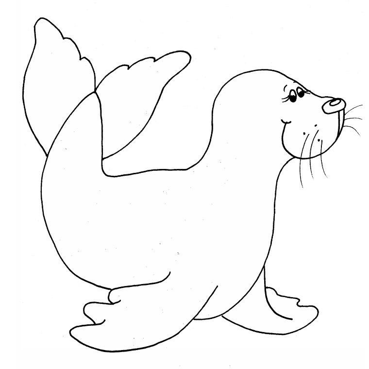 Desenho gratuito Foca #16263 da colecao Animais para imprimir