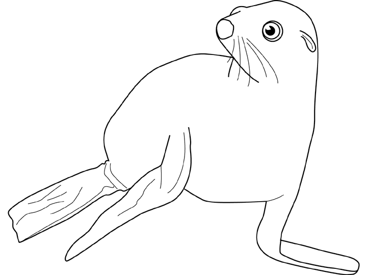 Desenho gratuito Foca #16329 da colecao Animais para imprimir