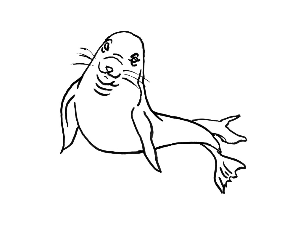 Desenho gratuito Foca #16333 da colecao Animais para imprimir