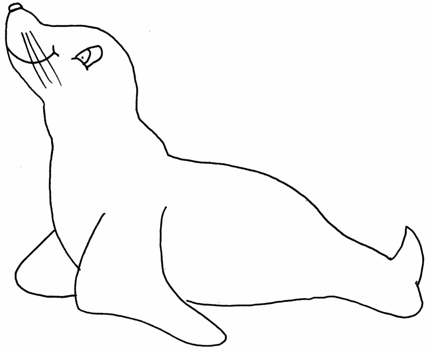 Ilustração de Foca #16336 para colorir, parte da coleção Animais Ilustração de Foca #16336 para colorir, parte da coleção Animais