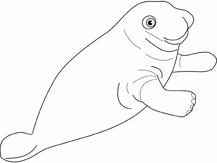 Desenho gratuito Foca #16366 da colecao Animais para imprimir