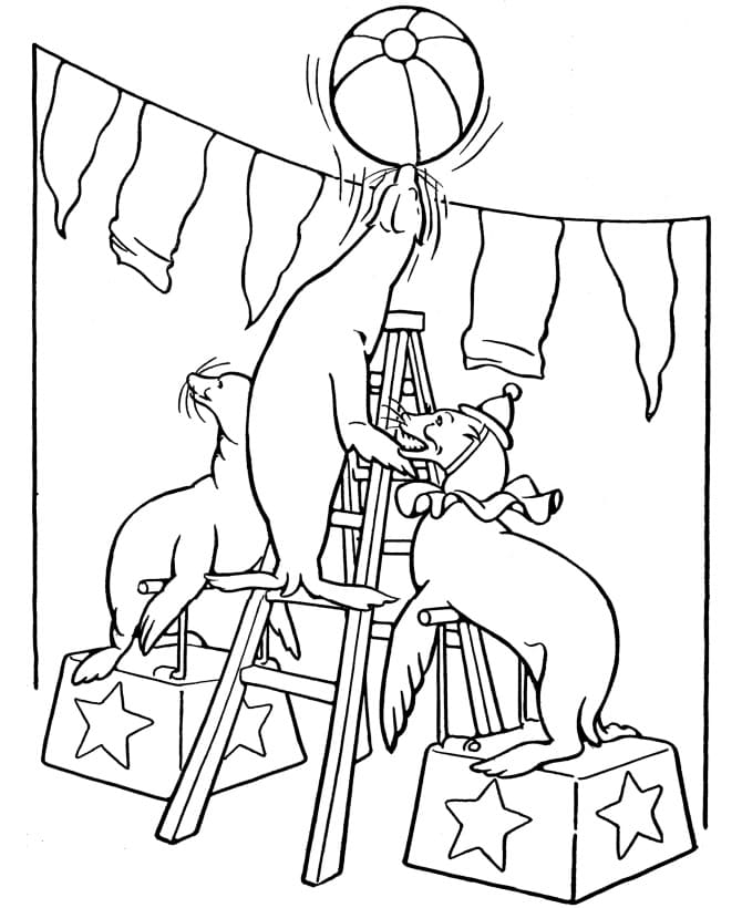 Desenho gratuito Foca #188068 da colecao Animais para imprimir