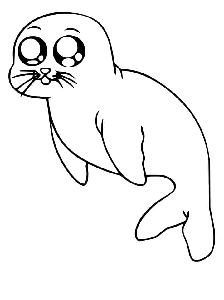 Atividade criativa: desenho de Foca #188097 para colorir da coleção Animais
