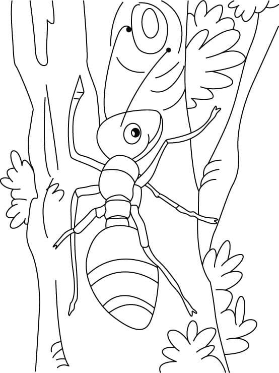 Desenho gratuito Formiga #196469 da colecao Animais para imprimir