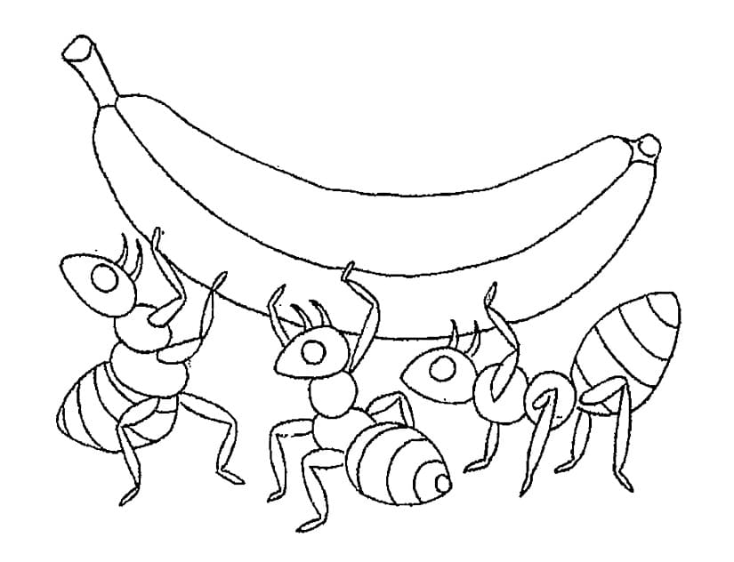 Desenho gratuito Formiga #196475 da colecao Animais para imprimir
