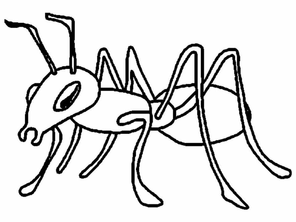 Desenho gratuito Formiga #196484 da colecao Animais para imprimir