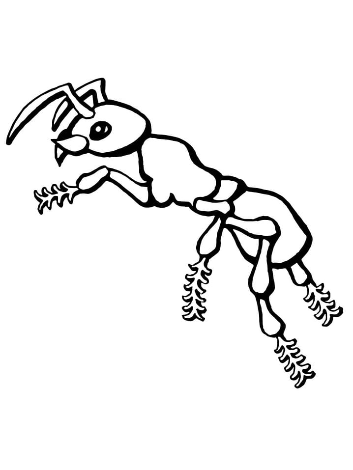 Desenho gratuito Formiga #196488 da colecao Animais para imprimir