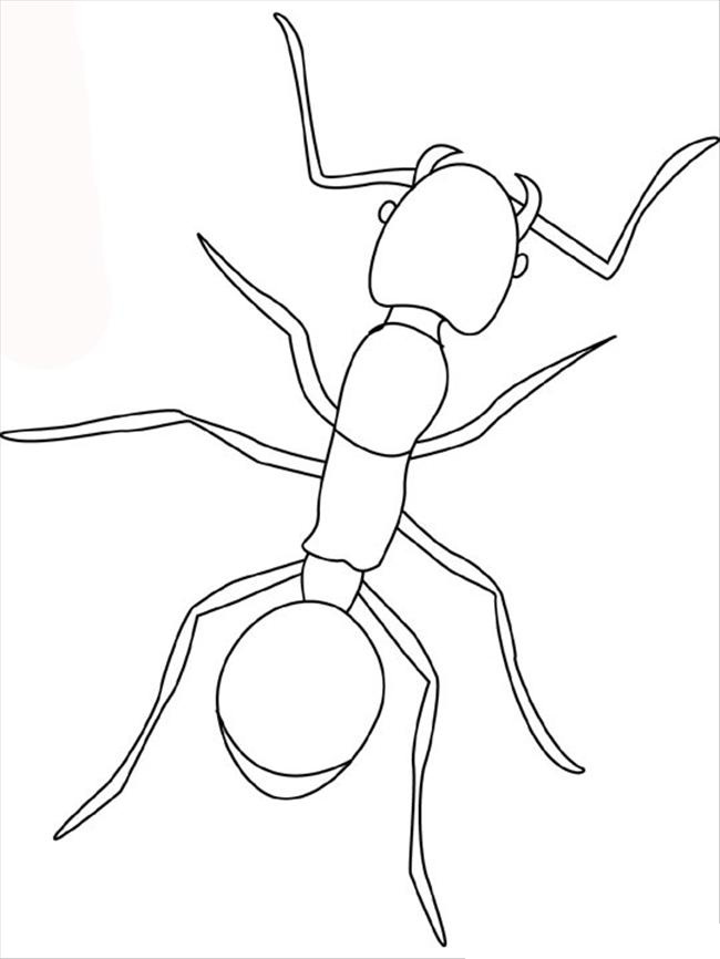 Página para colorir: Formiga (animais) #6921 - Páginas para Colorir Imprimíveis Gratuitamente
