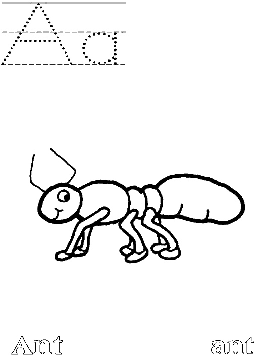 Página para colorir: Formiga (animais) #6946 - Páginas para Colorir Imprimíveis Gratuitamente