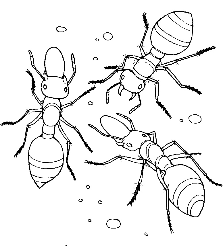 Página para colorir: Formiga (animais) #6993 - Páginas para Colorir Imprimíveis Gratuitamente