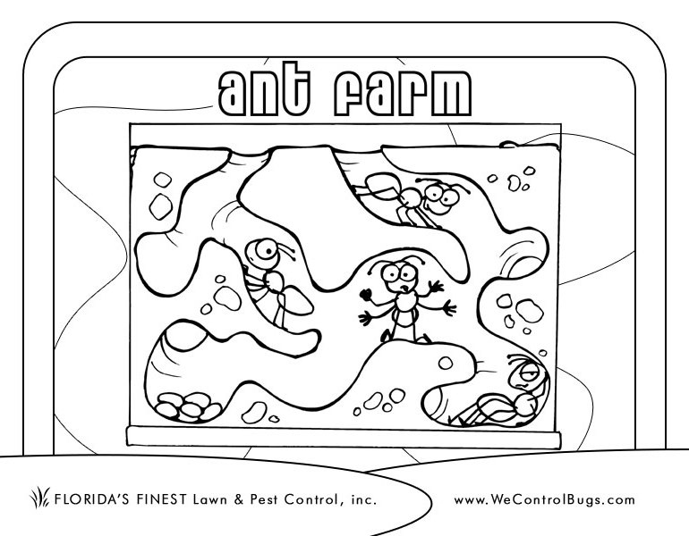 Página para colorir: Formiga (animais) #7010 - Páginas para Colorir Imprimíveis Gratuitamente