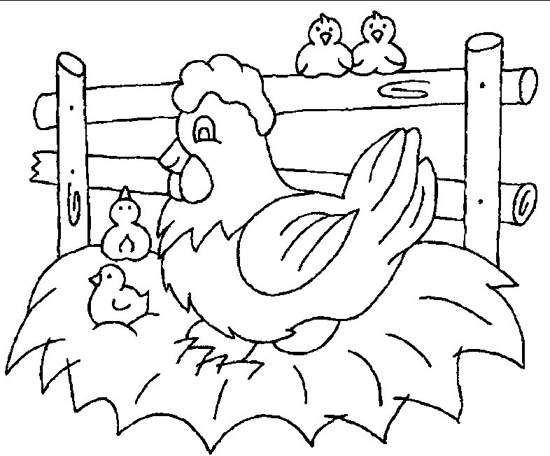 Página para colorir: Frango (animais) #17325 - Páginas para Colorir Imprimíveis Gratuitamente