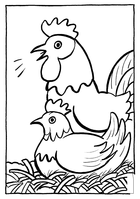 Página para colorir: Frango (animais) #17339 - Páginas para Colorir Imprimíveis Gratuitamente