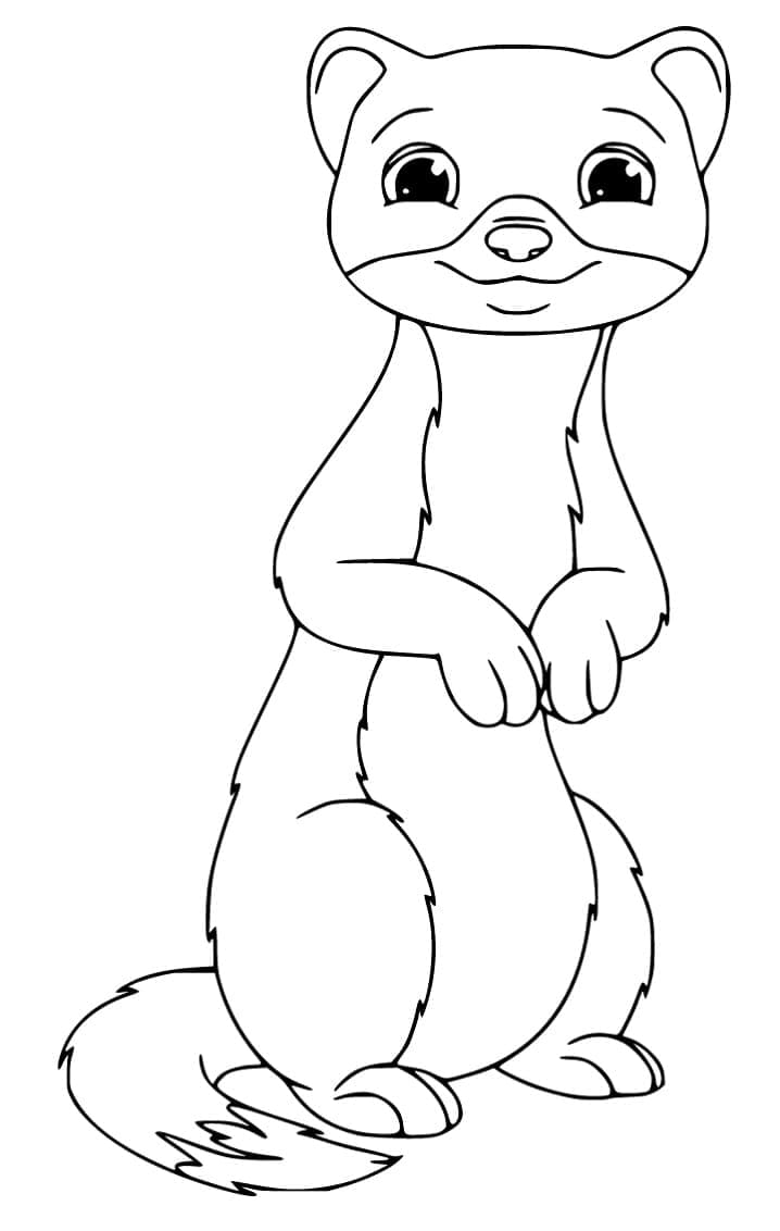 Página para colorir: Furão (Animais) #205383 - Páginas para Colorir Imprimíveis Gratuitamente