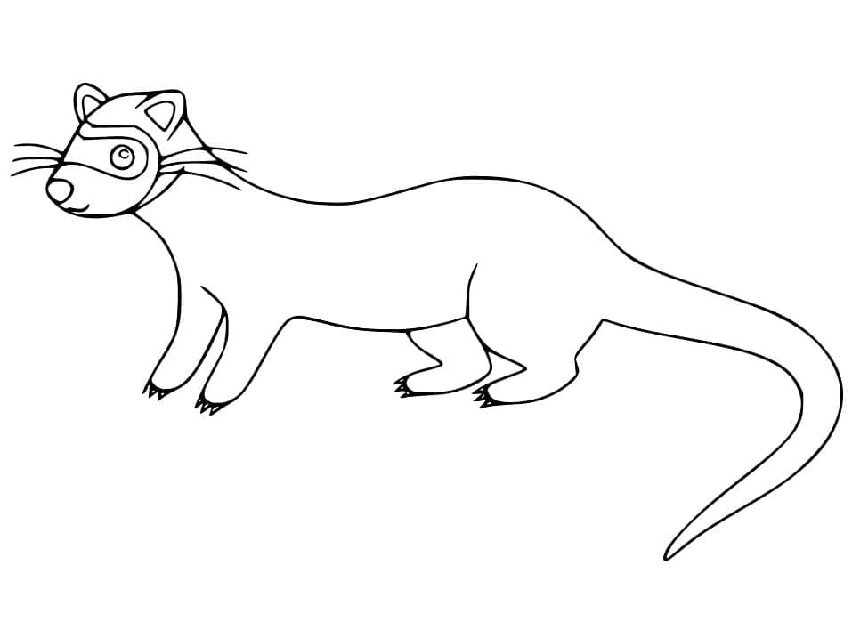 Página para colorir: Furão (Animais) #205385 - Páginas para Colorir Imprimíveis Gratuitamente
