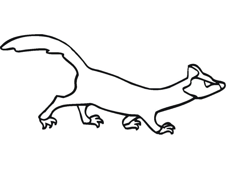 Página para colorir: Furão (Animais) #205394 - Páginas para Colorir Imprimíveis Gratuitamente