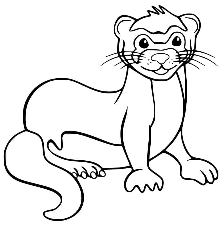 Página para colorir: Furão (Animais) #205396 - Páginas para Colorir Imprimíveis Gratuitamente