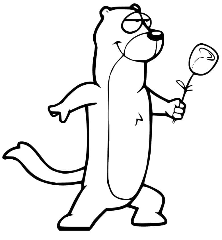Página para colorir: Furão (Animais) #205399 - Páginas para Colorir Imprimíveis Gratuitamente