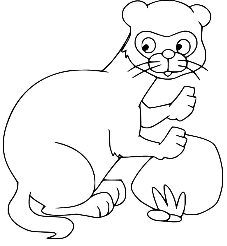 Página para colorir: Furão (Animais) #205401 - Páginas para Colorir Imprimíveis Gratuitamente