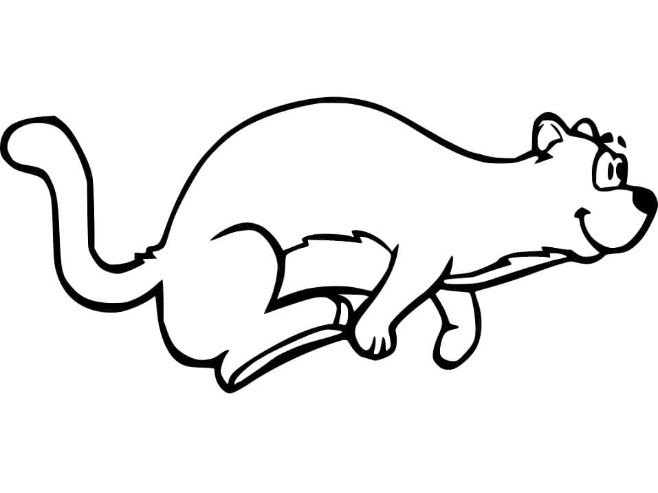 Página para colorir: Furão (Animais) #205402 - Páginas para Colorir Imprimíveis Gratuitamente