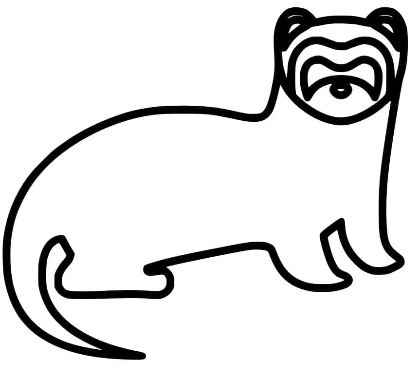 Página para colorir: Furão (Animais) #205403 - Páginas para Colorir Imprimíveis Gratuitamente