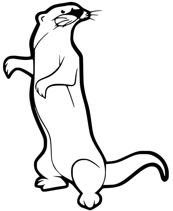 Página para colorir: Furão (Animais) #205411 - Páginas para Colorir Imprimíveis Gratuitamente