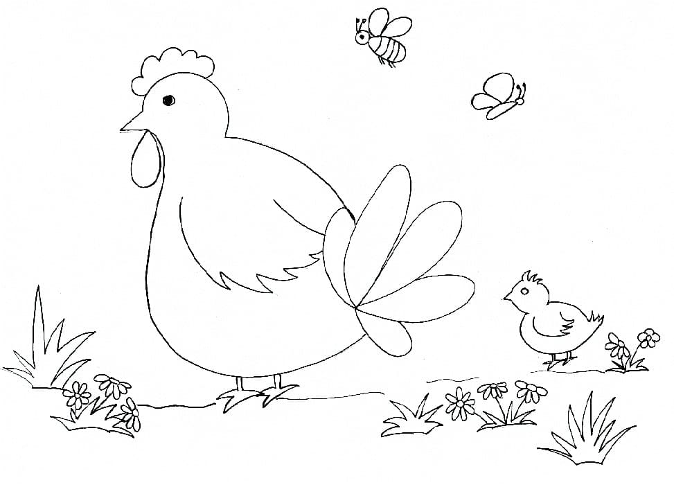 Desenho gratuito Galinha e Pintinho #193169 da colecao Animais para imprimir Desenho gratuito Galinha e Pintinho #193169 da colecao Animais para imprimir