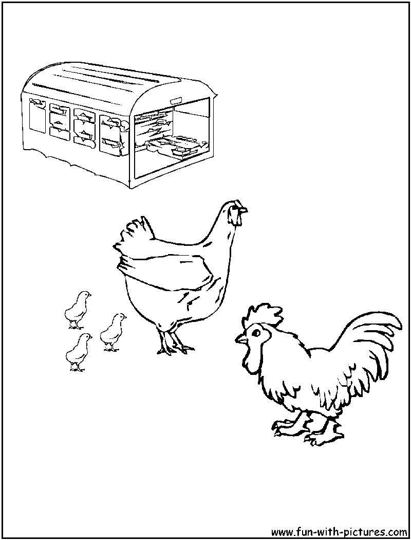 Página para colorir: Galo (animais) #4186 - Páginas para Colorir Imprimíveis Gratuitamente