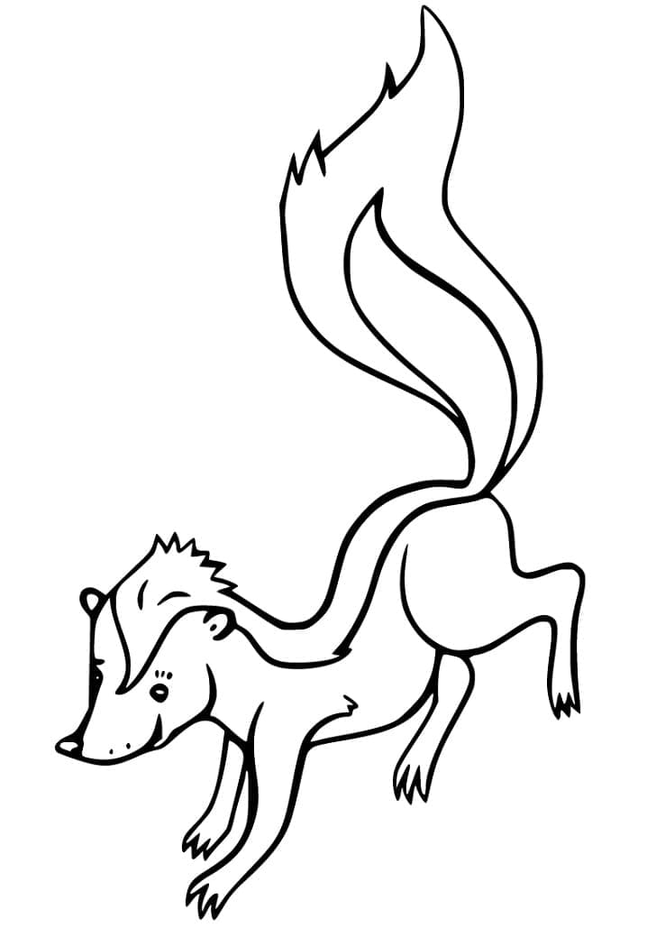Desenho gratuito Gambá #205291 da colecao Animais para imprimir