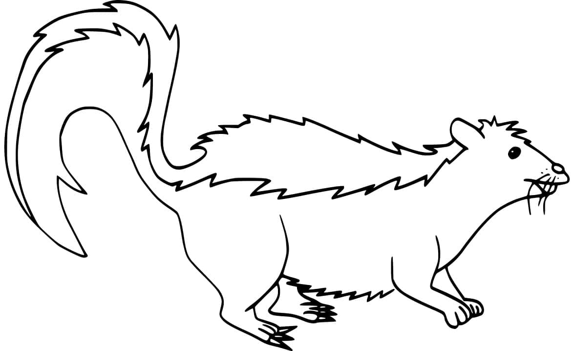Desenho gratuito Gambá #205310 da colecao Animais para imprimir