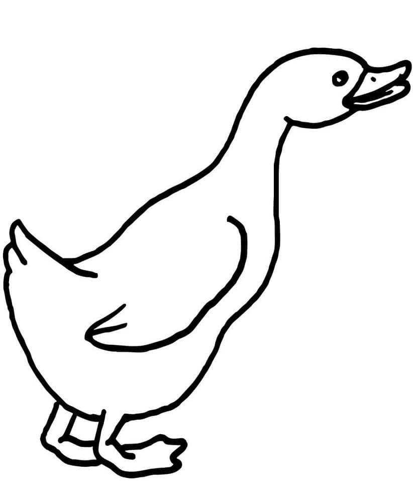 Desenho gratuito Ganso #188124 da colecao Animais para imprimir