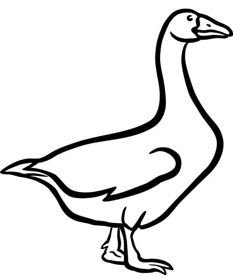 Desenho gratuito Ganso #188131 da colecao Animais para imprimir