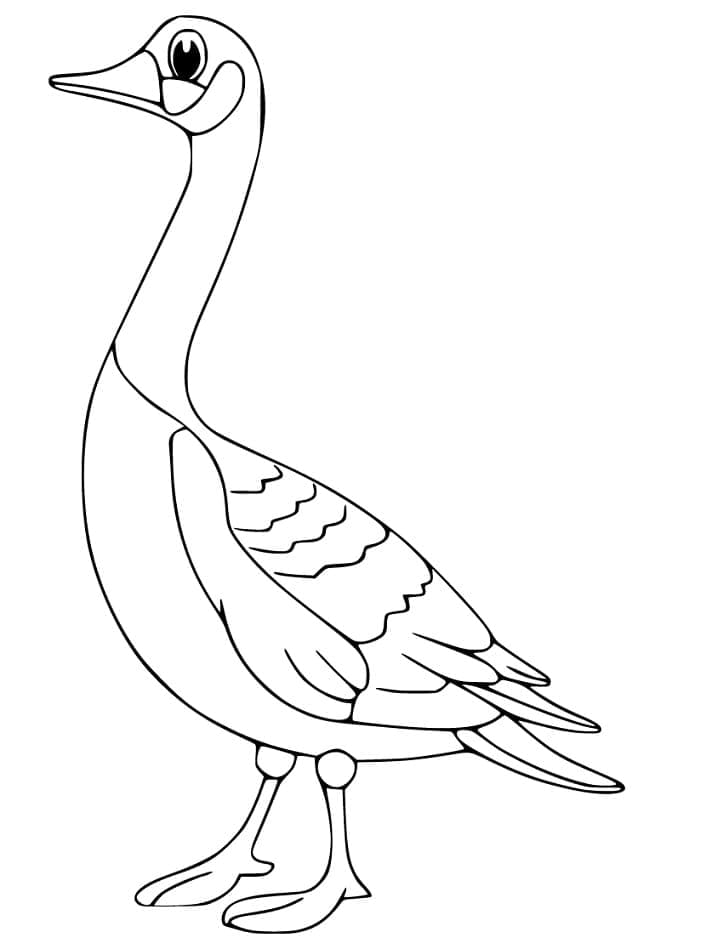 Desenho gratuito Ganso #188133 da colecao Animais para imprimir