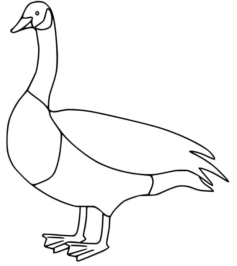 Desenho gratuito Ganso #188139 da colecao Animais para imprimir
