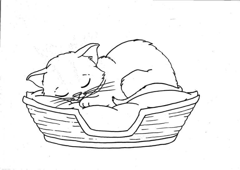 Página para colorir de Gatinho #176612 pertencente à coleção Animais