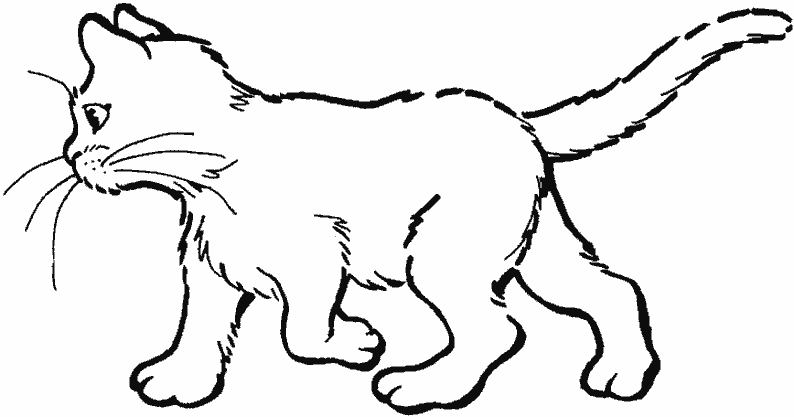 Página para colorir: Gatinho (animais) #18029 - Páginas para Colorir Imprimíveis Gratuitamente