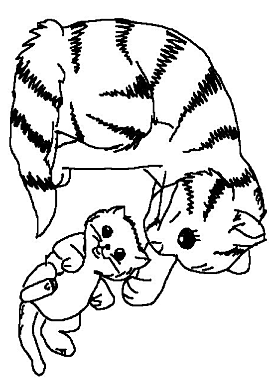 Página para colorir: Gatinho (animais) #18065 - Páginas para Colorir Imprimíveis Gratuitamente