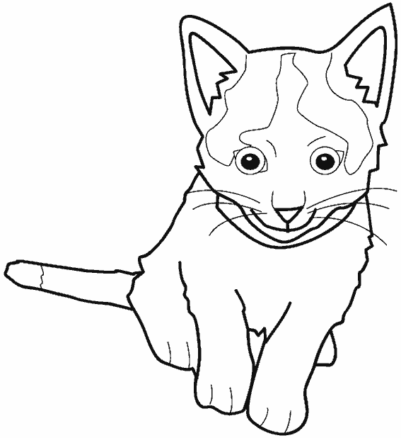 Página para colorir: Gatinho (animais) #18081 - Páginas para Colorir Imprimíveis Gratuitamente