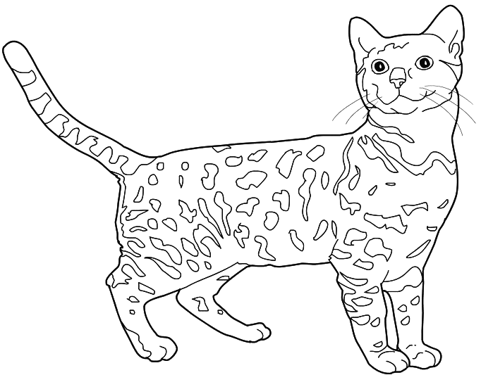 Página para colorir: Gatinho (animais) #18101 - Páginas para Colorir Imprimíveis Gratuitamente