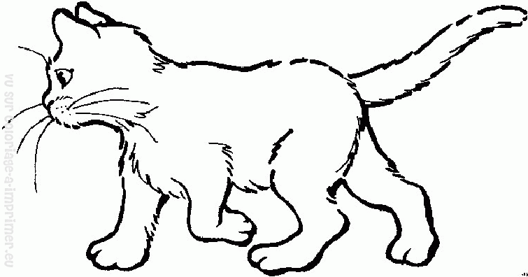 Página para colorir: Gatinho (animais) #18112 - Páginas para Colorir Imprimíveis Gratuitamente