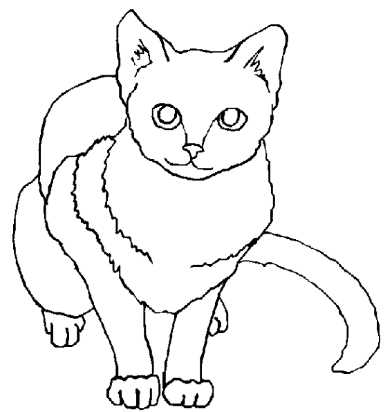 Página para colorir: Gatinho (animais) #18143 - Páginas para Colorir Imprimíveis Gratuitamente