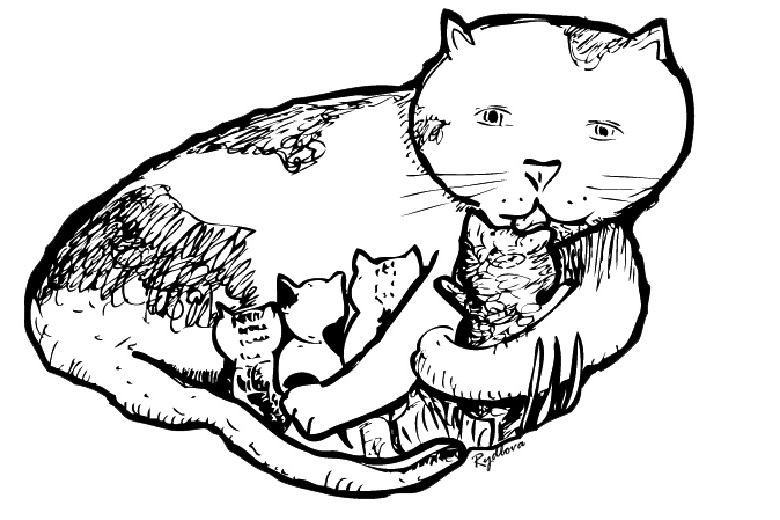 Página para colorir: Gatinho (animais) #18145 - Páginas para Colorir Imprimíveis Gratuitamente